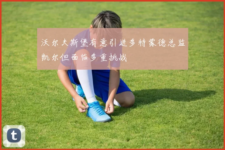 沃尔夫斯堡有意引进多特蒙德总监凯尔但面临多重挑战