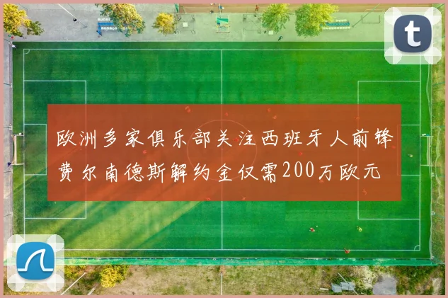 欧洲多家俱乐部关注西班牙人前锋费尔南德斯解约金仅需200万欧元