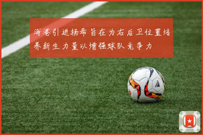 海港引进杨希旨在为右后卫位置培养新生力量以增强球队竞争力