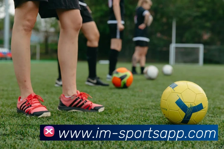 IM足球体育服务体系